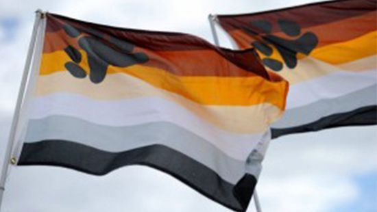Bandera Internacional de la comunidad Osuna.